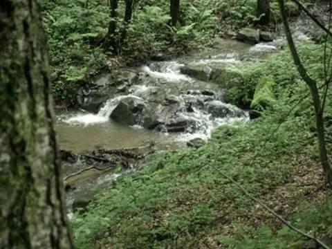 Kuca Za Odmor"Miran San" Villa Podgorić Dış mekan fotoğraf